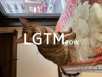 LGTMeow