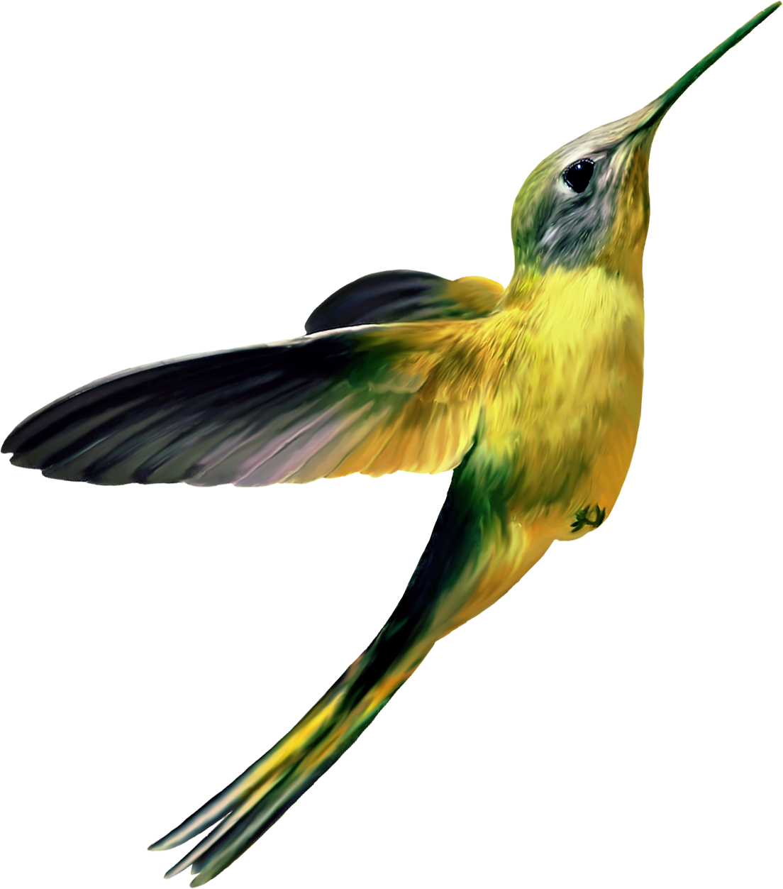 The Hummingbird Approach