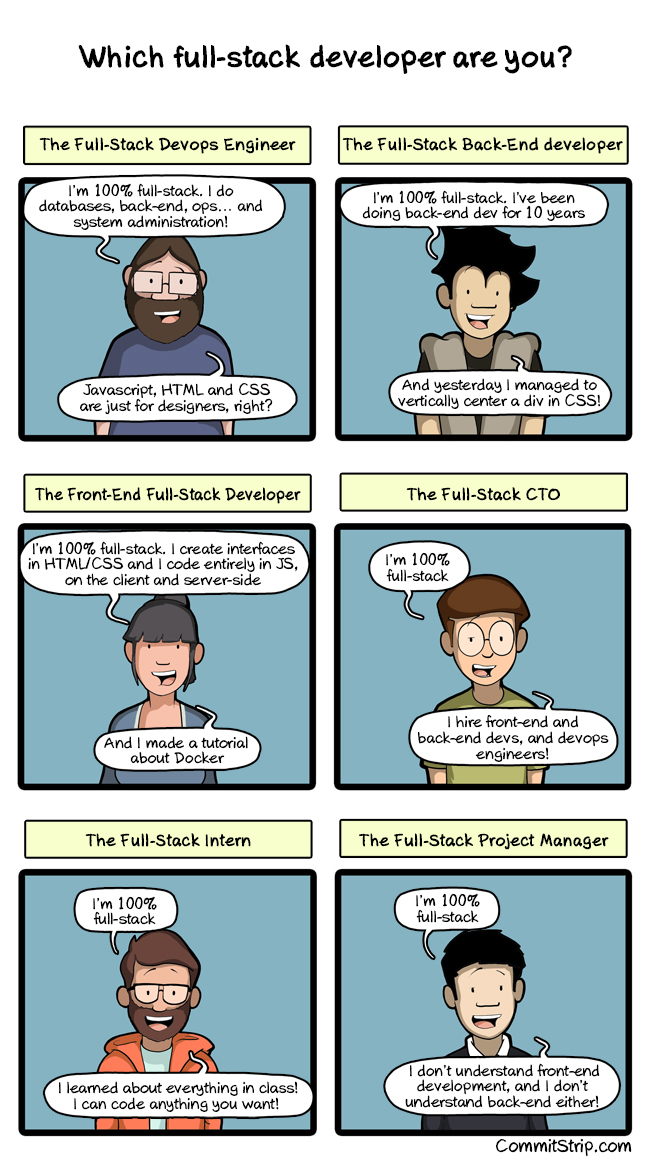 Which fullstack developer are you