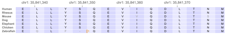 Orthologs