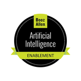 Artificial Intelligence Enablement