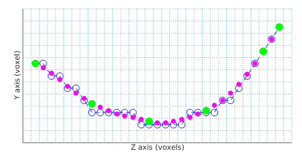 spline nodes