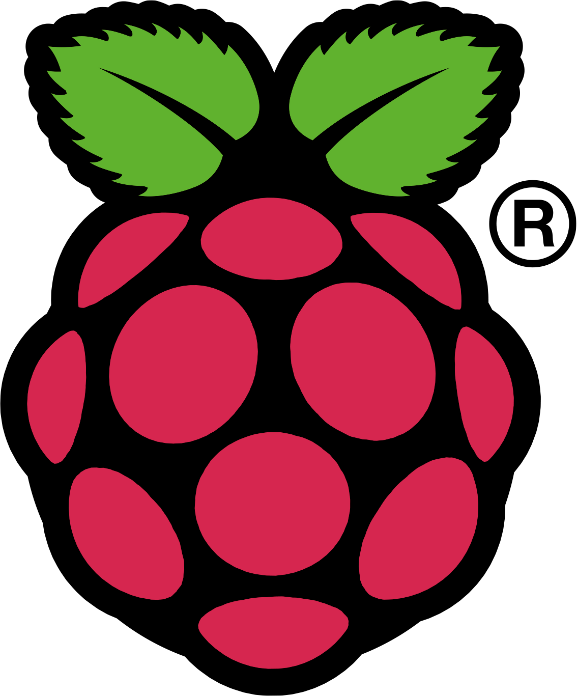 Raspberry Pi