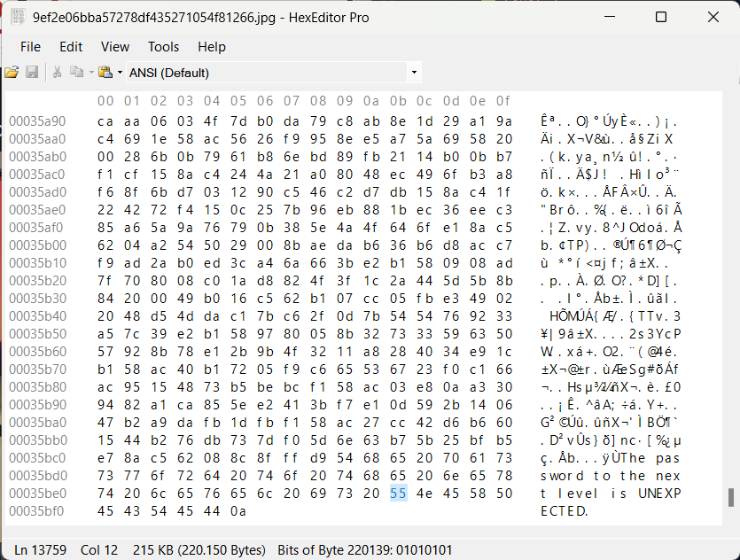 Hex Editor Pro