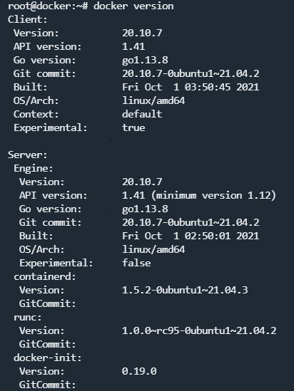 docker version output