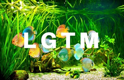 LGTM