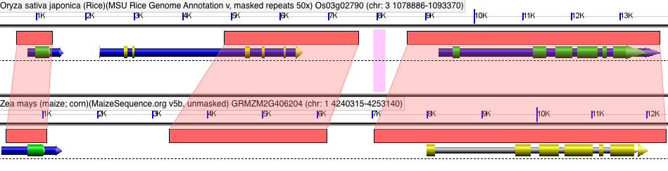 http://upload.wikimedia.org/wikipedia/commons/b/b4/Coanno.png