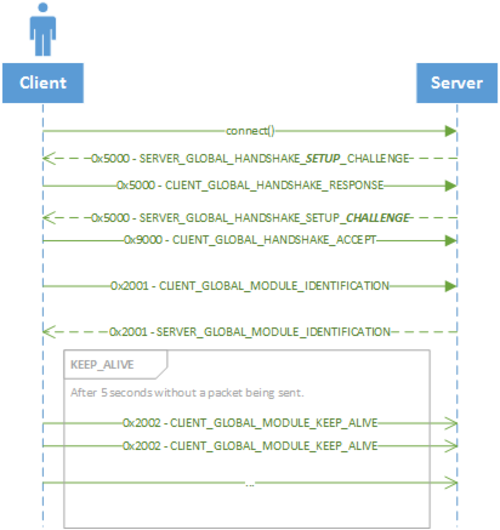 Global packet flow