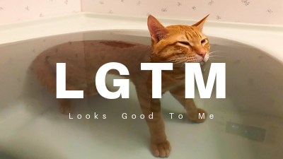 LGTM