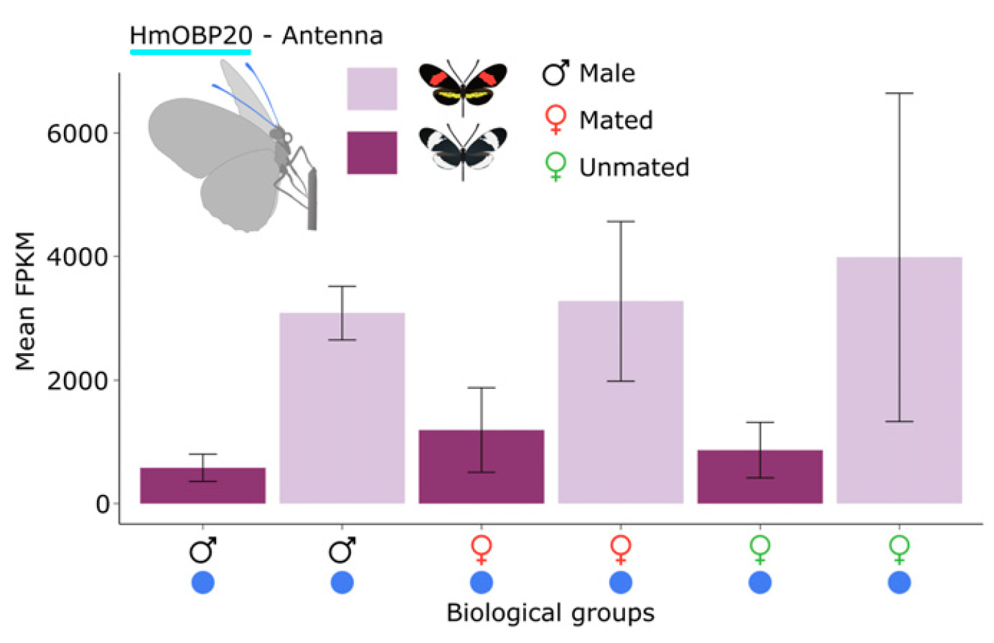 Expression levels for the odorant binding protein HmOBP20.