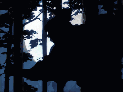 ninja-scroll-night-GIF.gif