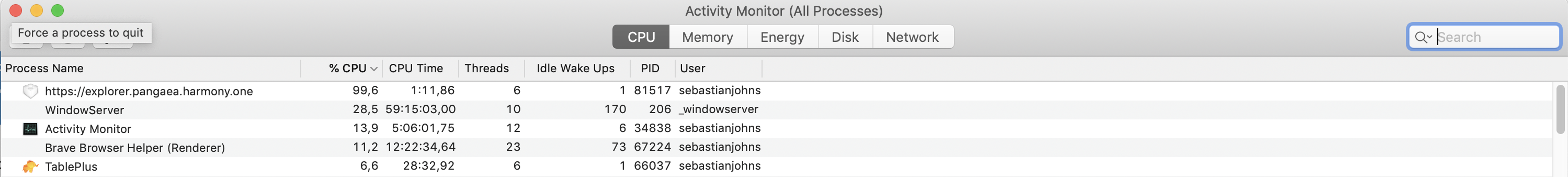 CPU Usage when loading the page/transaction