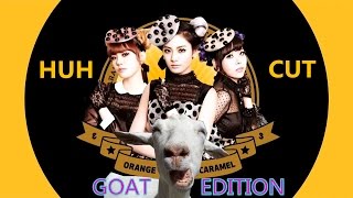 Orange Caramel Catallena Hah cut goat version