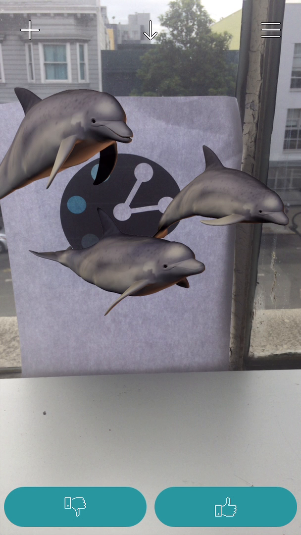 Dolphins