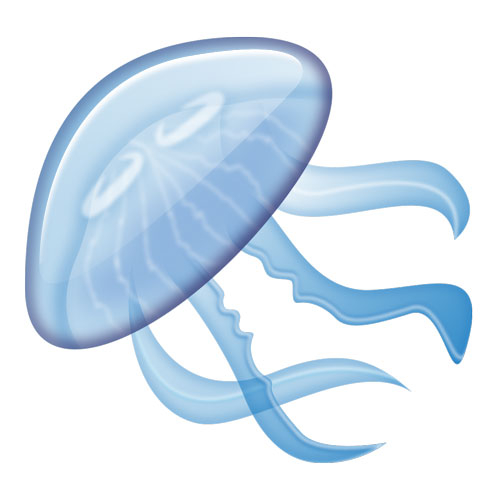 Jellyfish