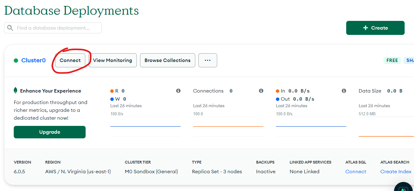 Mongo DB Atlas: Connect