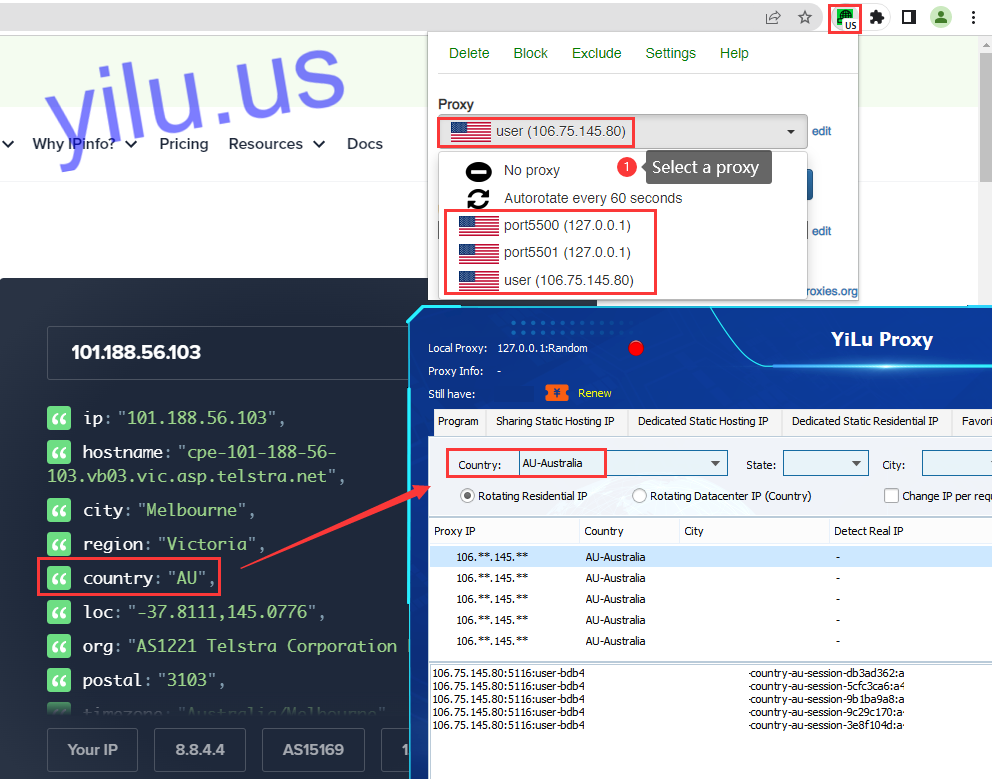 BP Proxy Switcher & YiLu Proxy