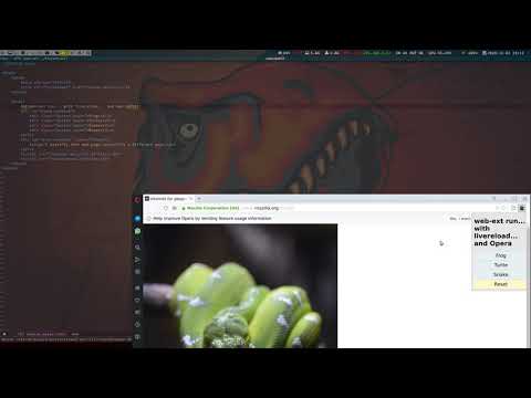 Quick demo of the web-ext run used to run an extension on Chrome, Opera and Vivaldi