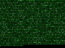 Coding Zero One GIF by Squirrel Monkey via giphy.com
