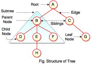 structure of tree