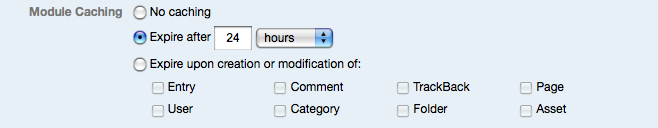 Module Caching Expiration Options - TTL