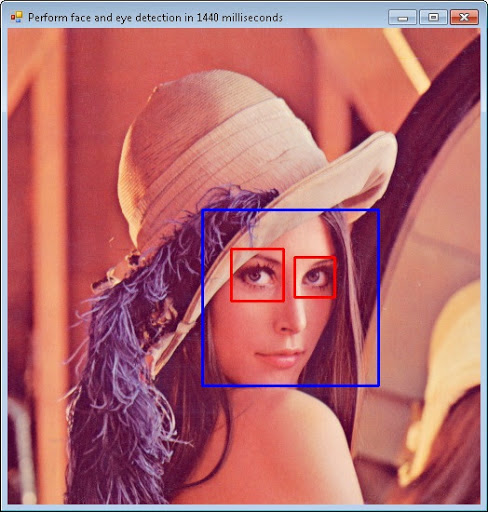 Face detection sample