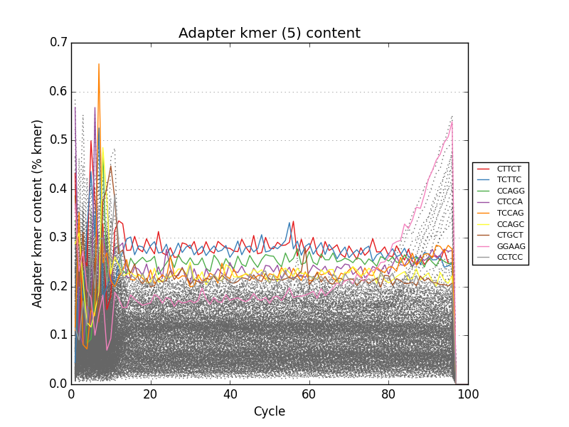 adapter kmer distribution