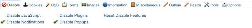 Web Developer Interface