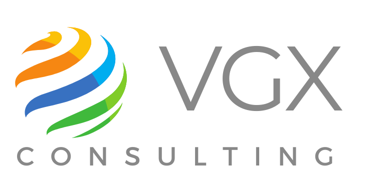 VGX Consulting