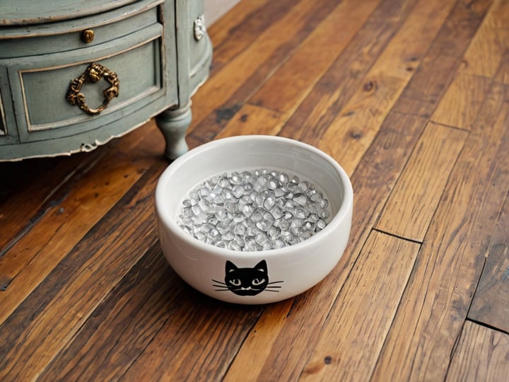 Cat-Water-Bowl-2