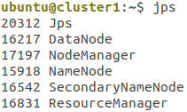 Jps console result for cluster 1