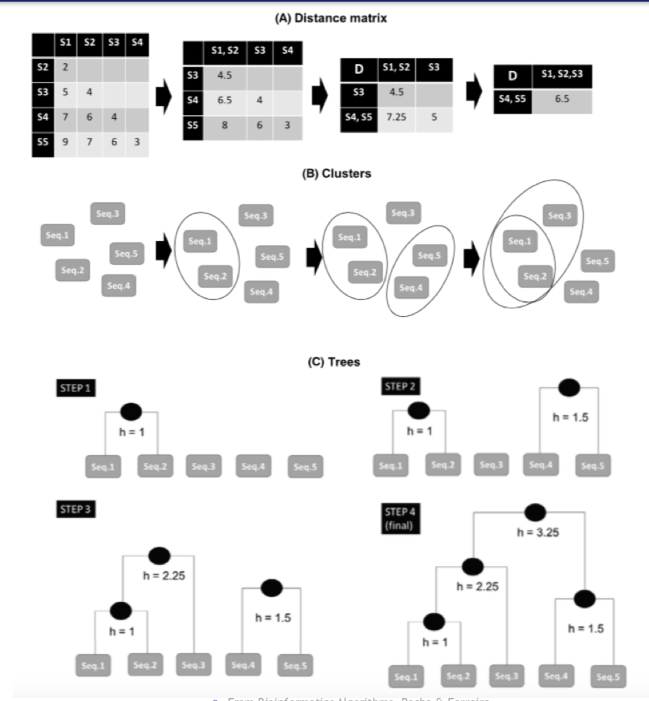 Clustering Algorithm