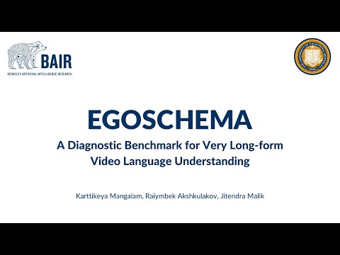 EgoSchema Video