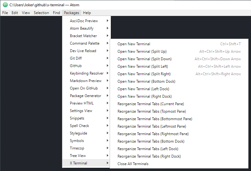 X-Terminal menu