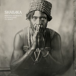 Shabaka Hutchings - Perceive its Beauty, Acknowledge its Grace