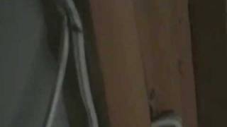 i watch seinfeld every fuckin day