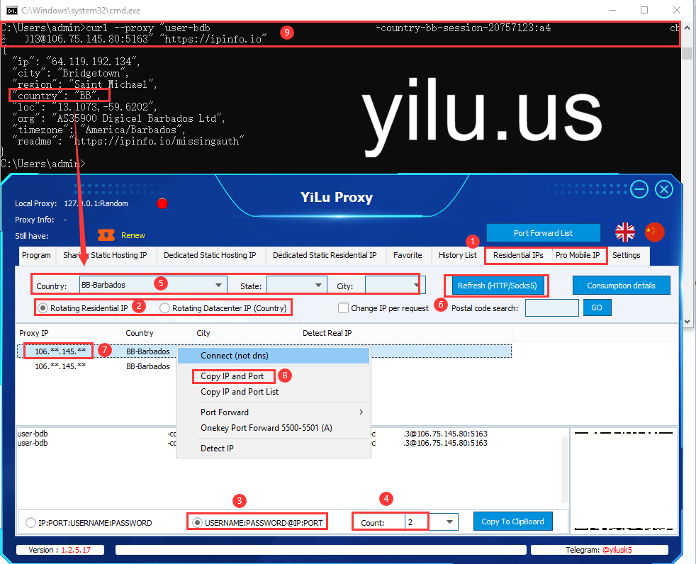 cURL with Proxy