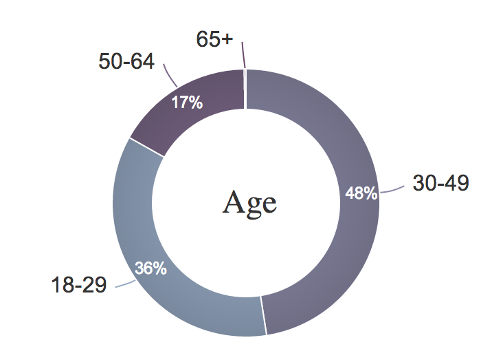 Pie chart example