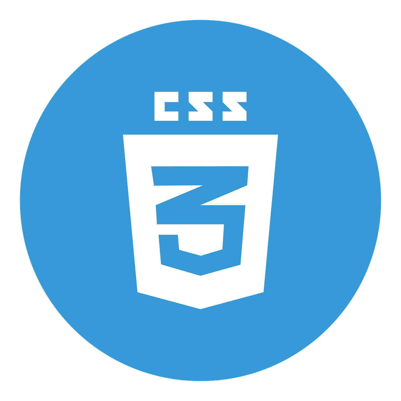 CSS logo