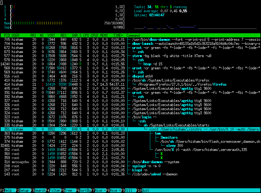 Screenshot htop