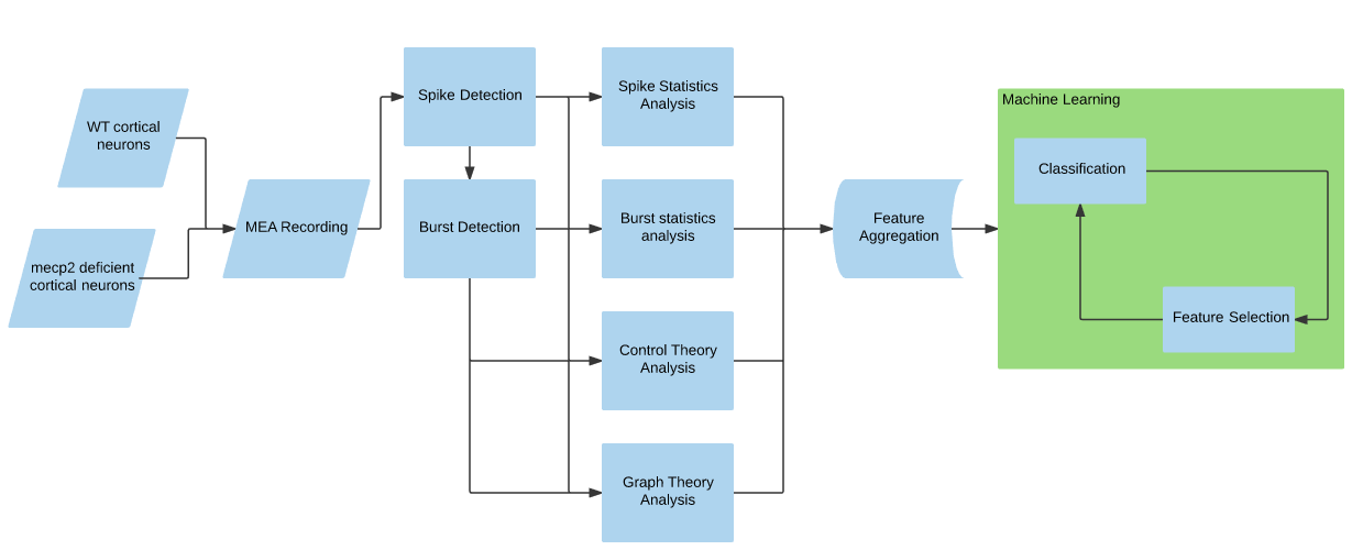 Workflow overview