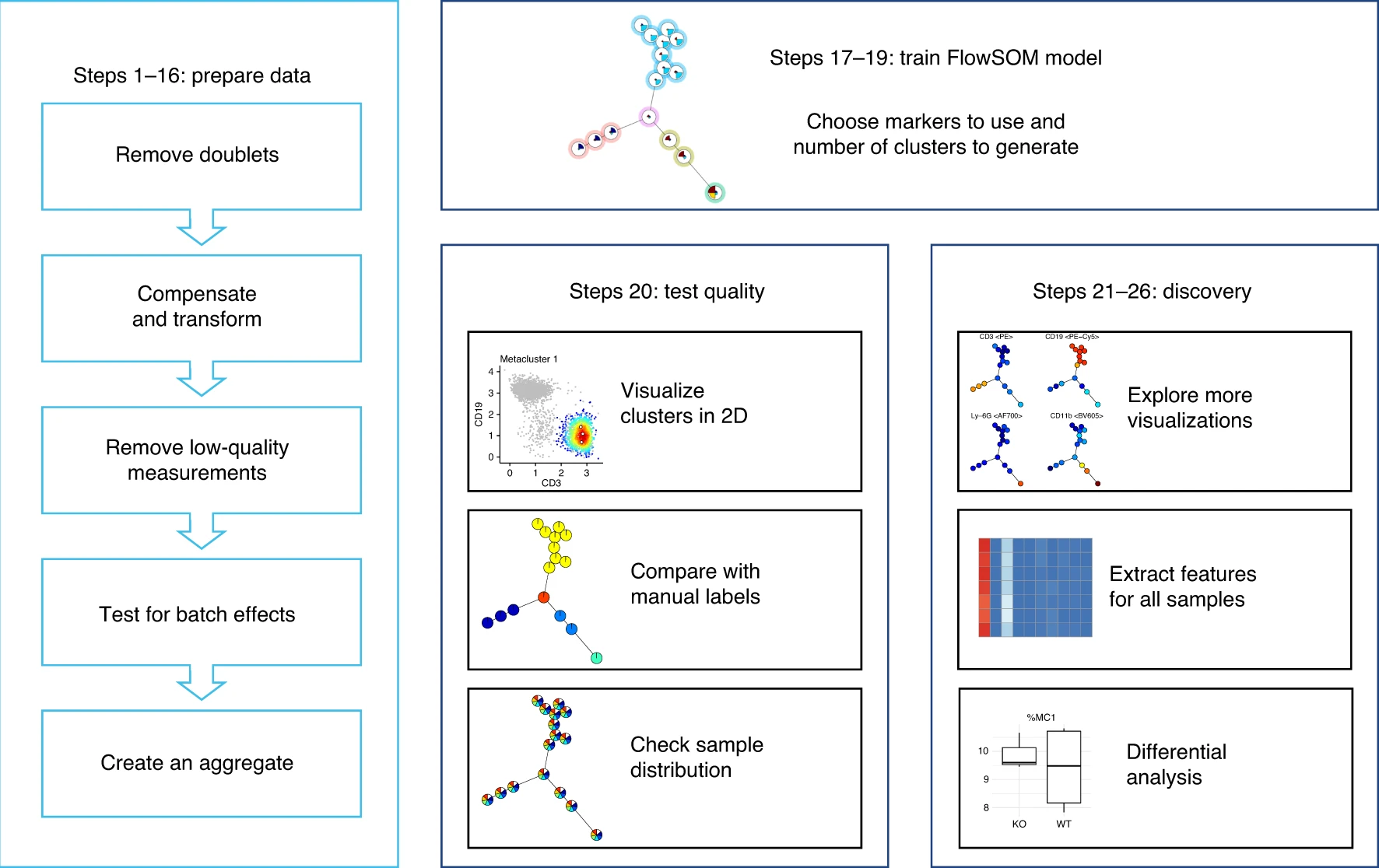 FlowSOM analysis pipeline