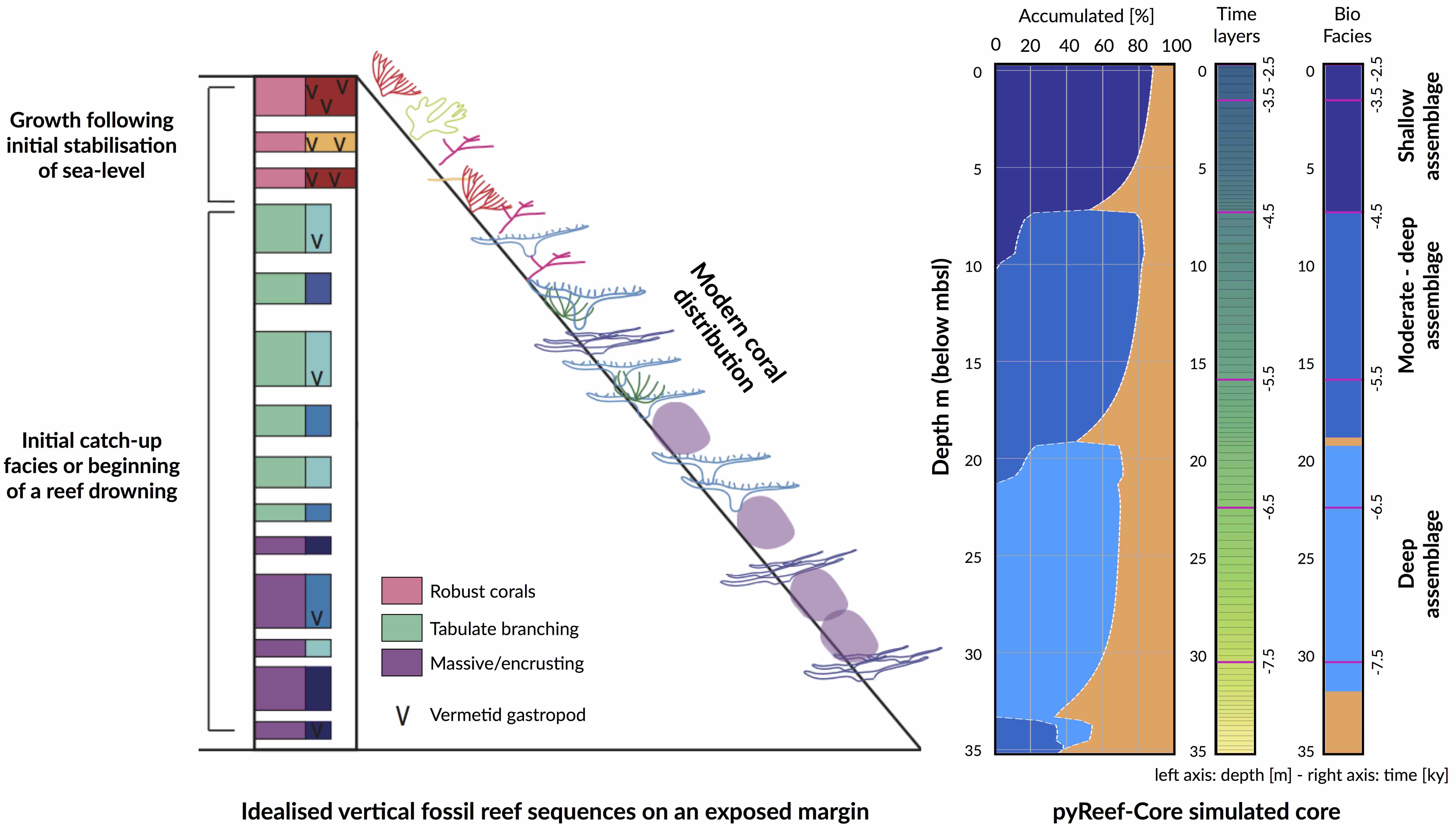 Idealised case shallowing-up fossil reef sequence