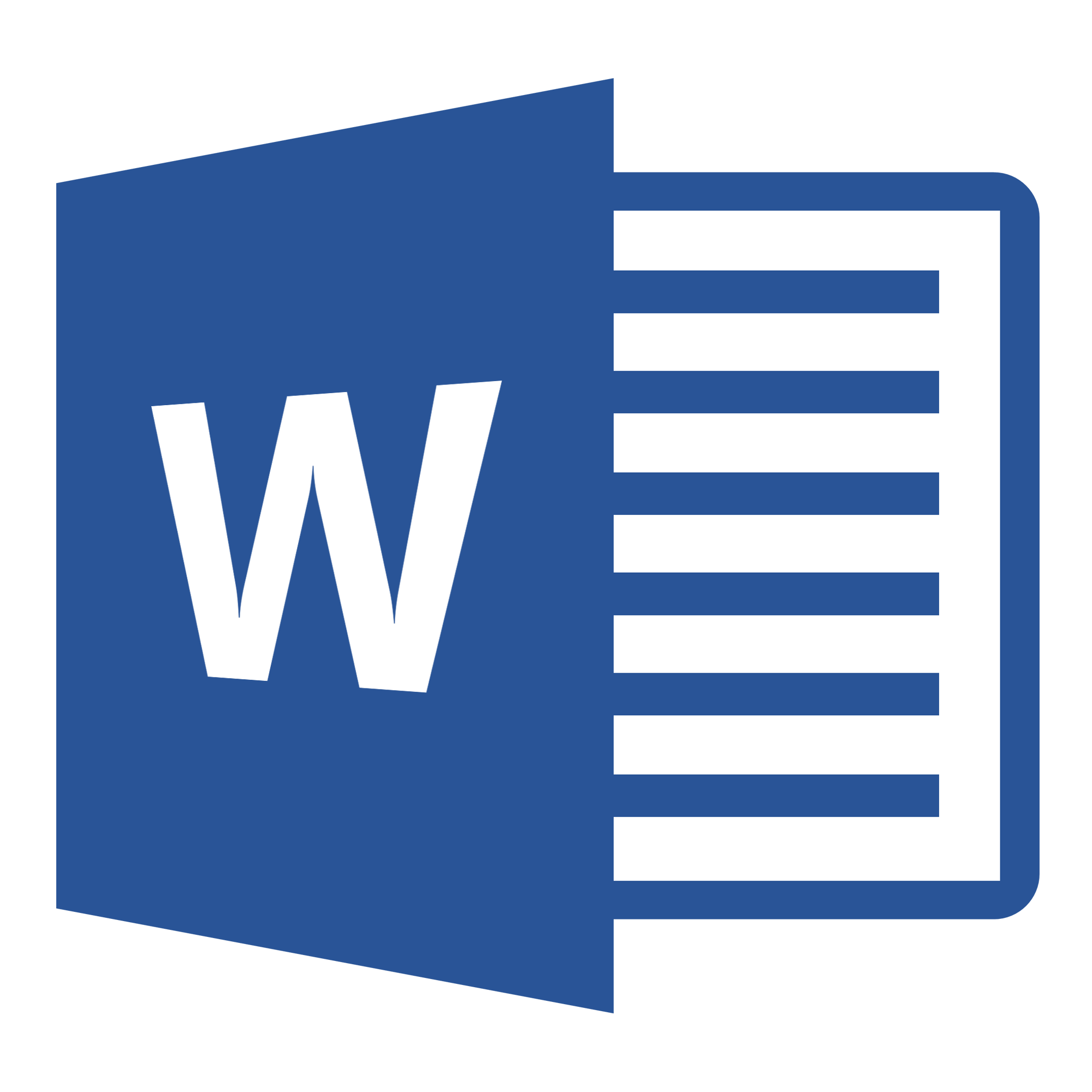 MS Office Word