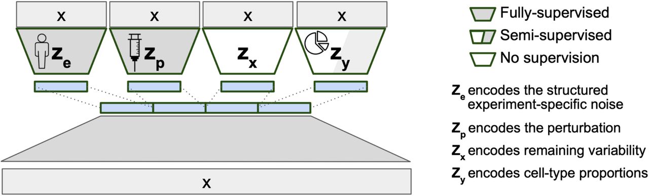 BuDDI schematic