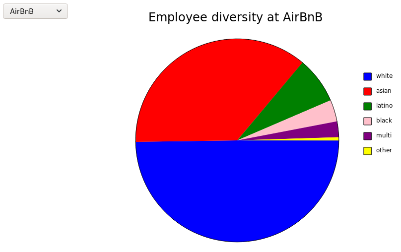 tech-diversity-race