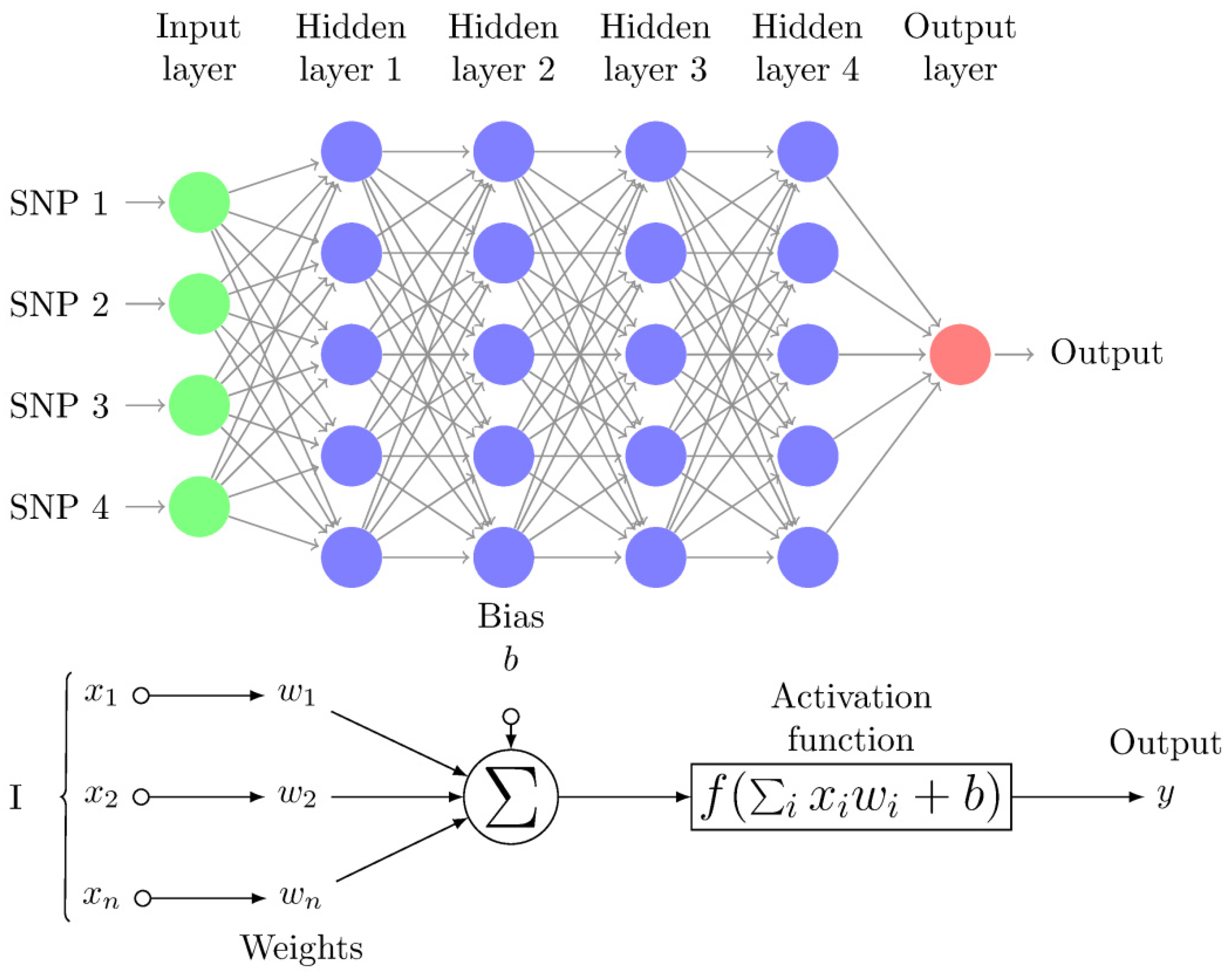 genes-10-00553-g001.png