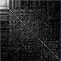 Brain Functional Network