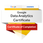 Google Data Analytics Professional Certificate