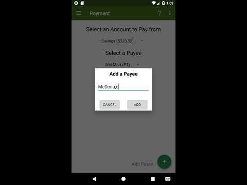 Bank App Demo Video